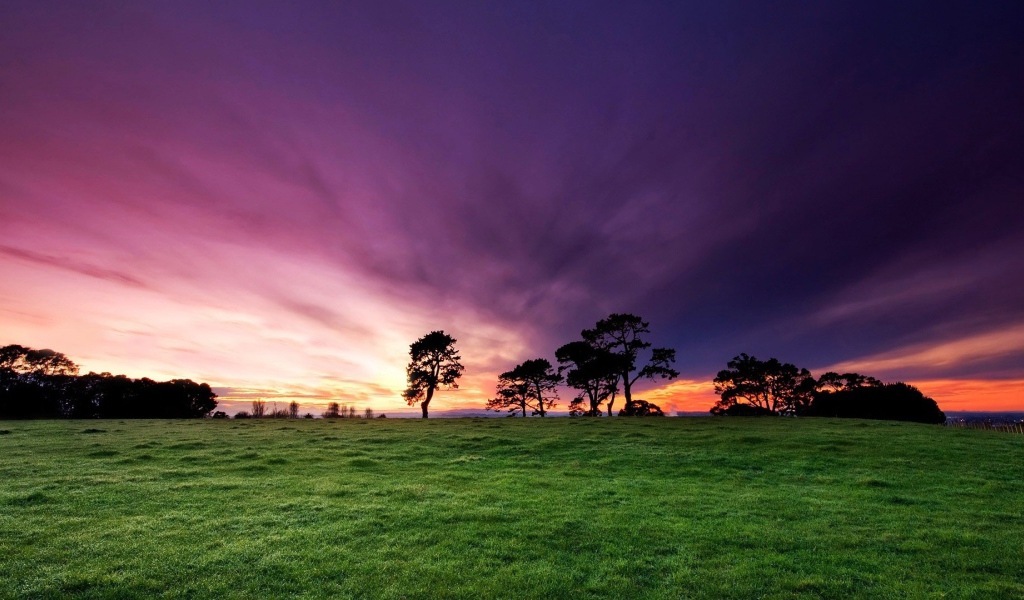 Утренние лучи солнца