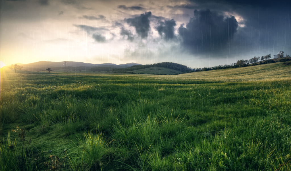 Черные тучи над полем