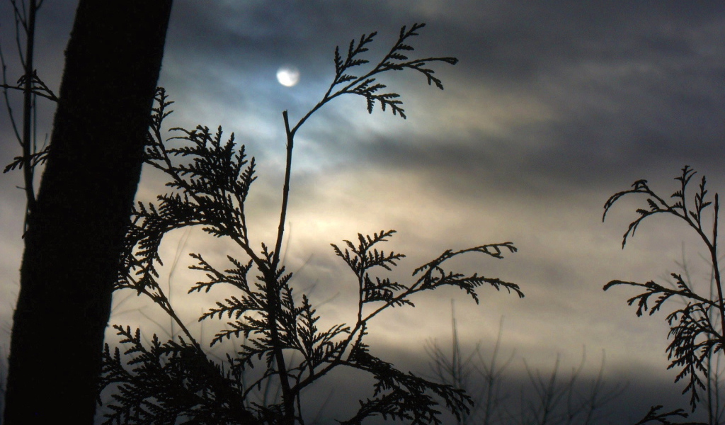 Пасмурная погода