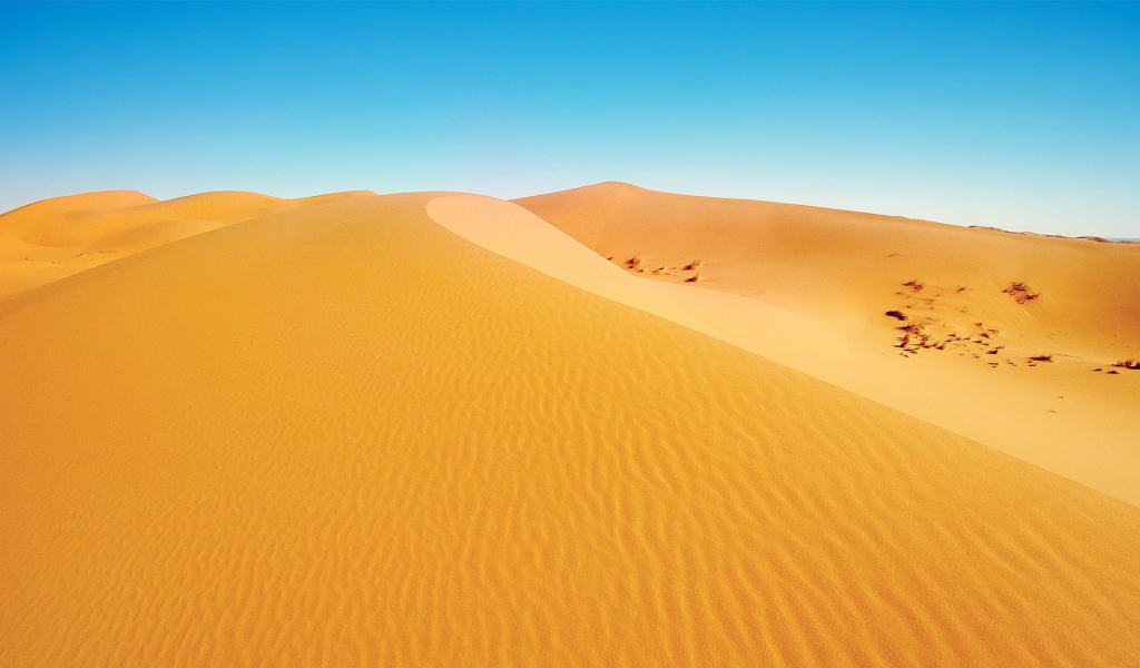 Африканская пустыня