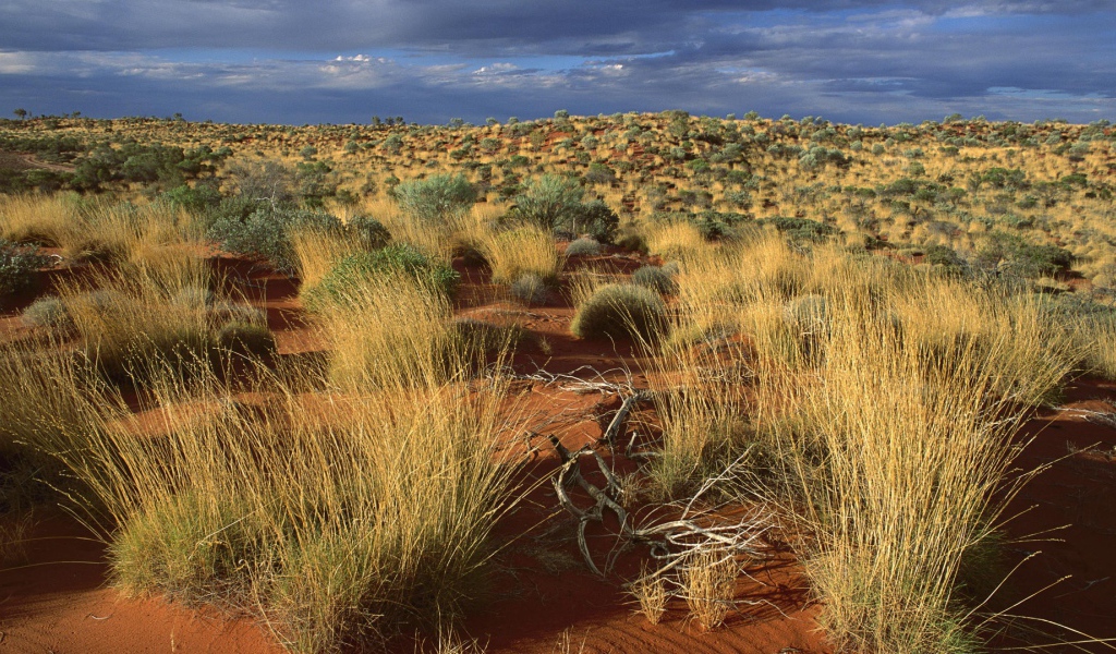 Пустыня в Австралии