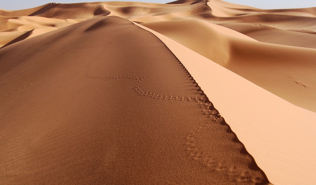 Следы на песке в пустыне