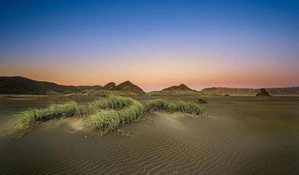 Серый пейзаж пустыни