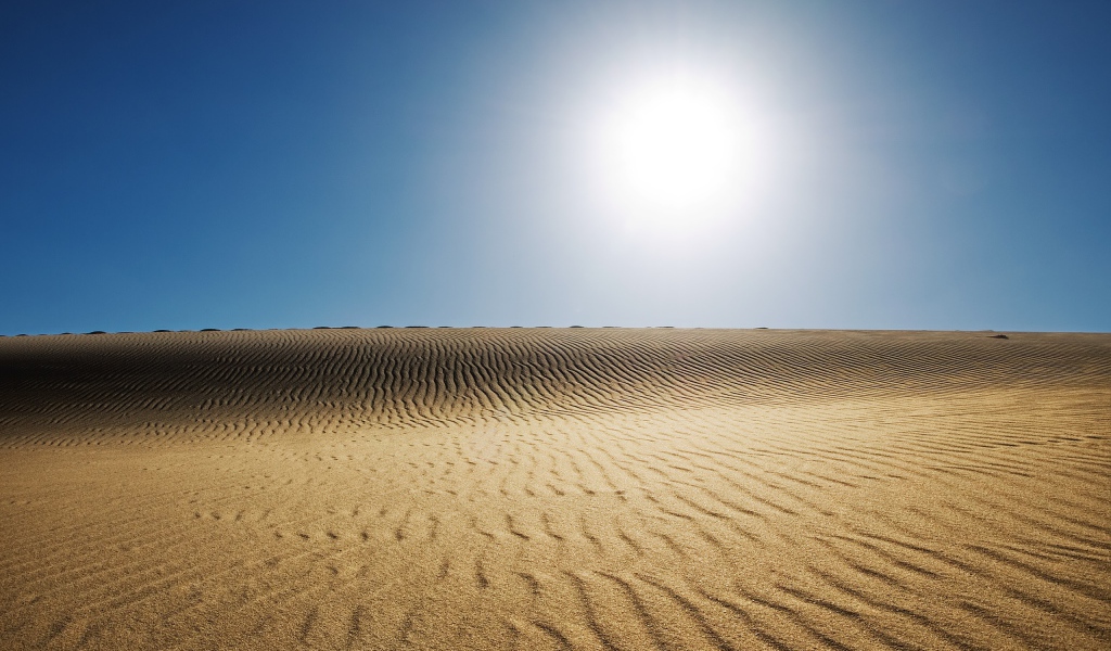 Солнечная пустыня 