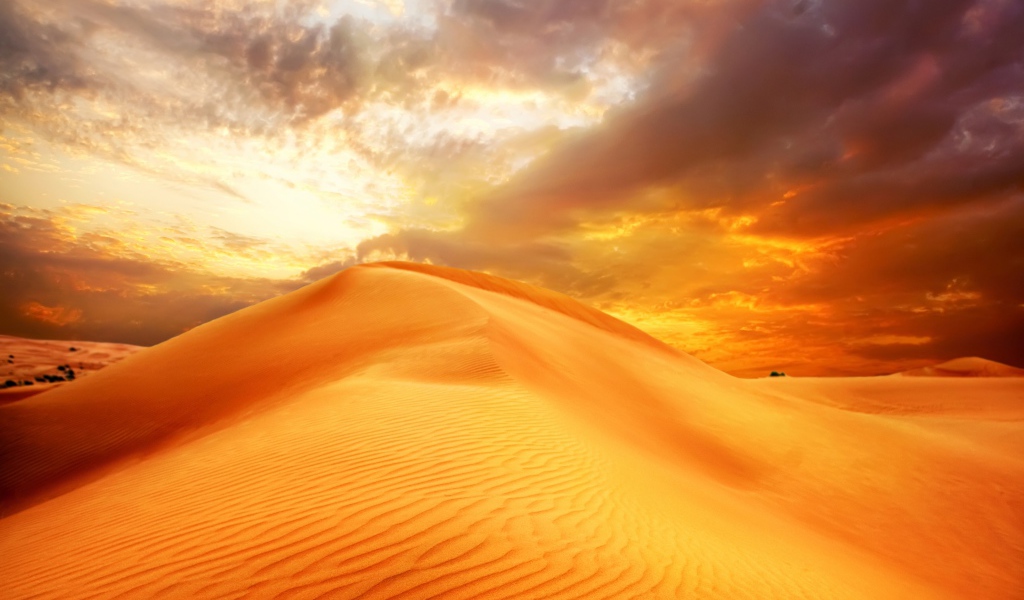 Золотой песок пустыни