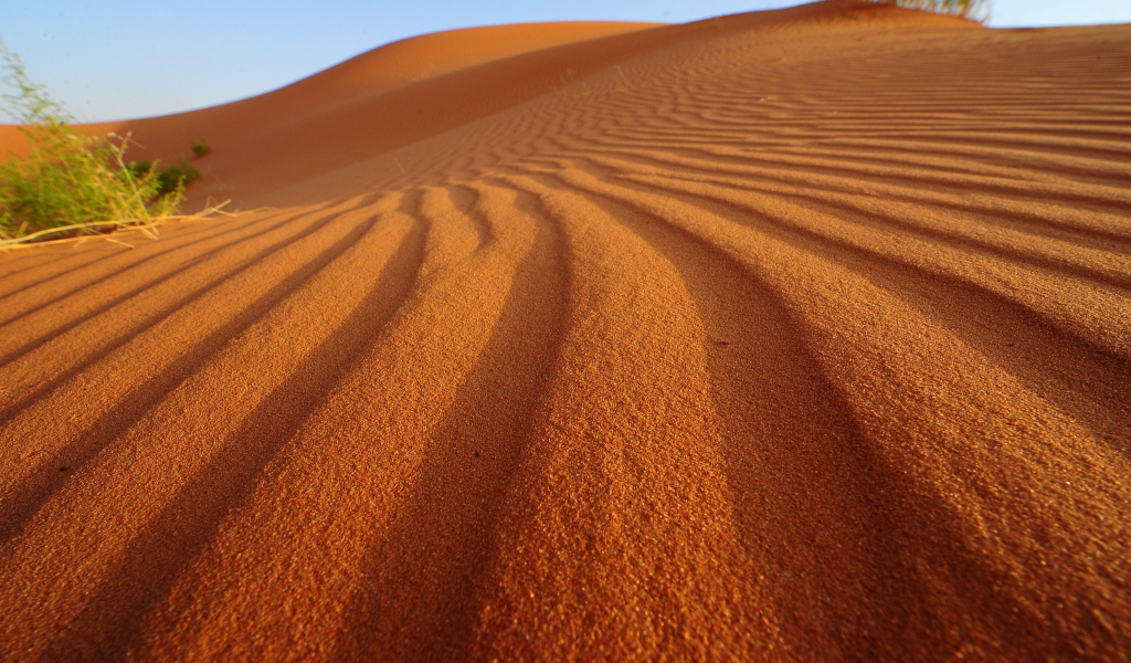 Волны на песке