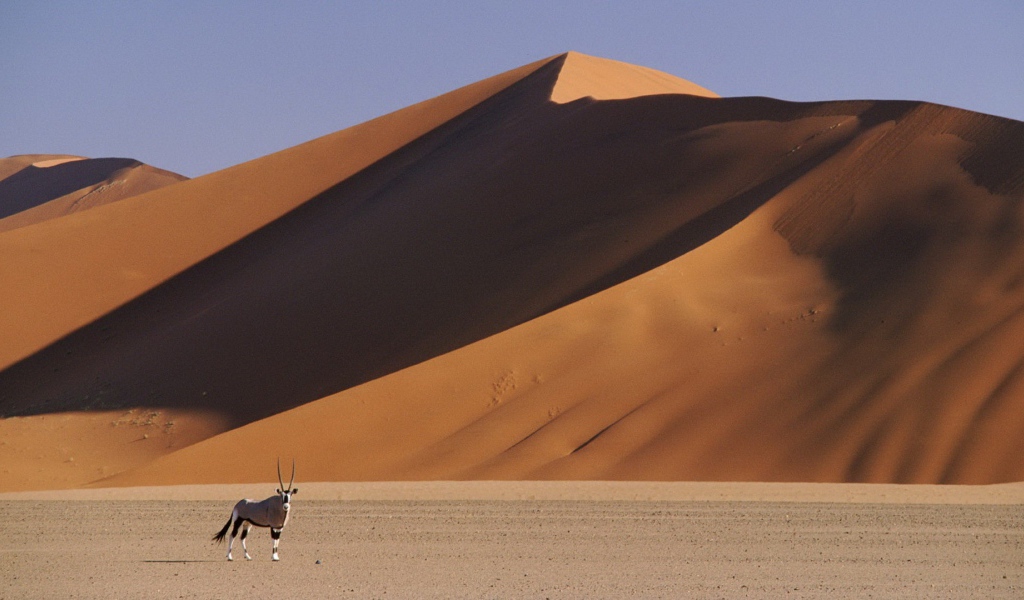 Пустыня Намибии