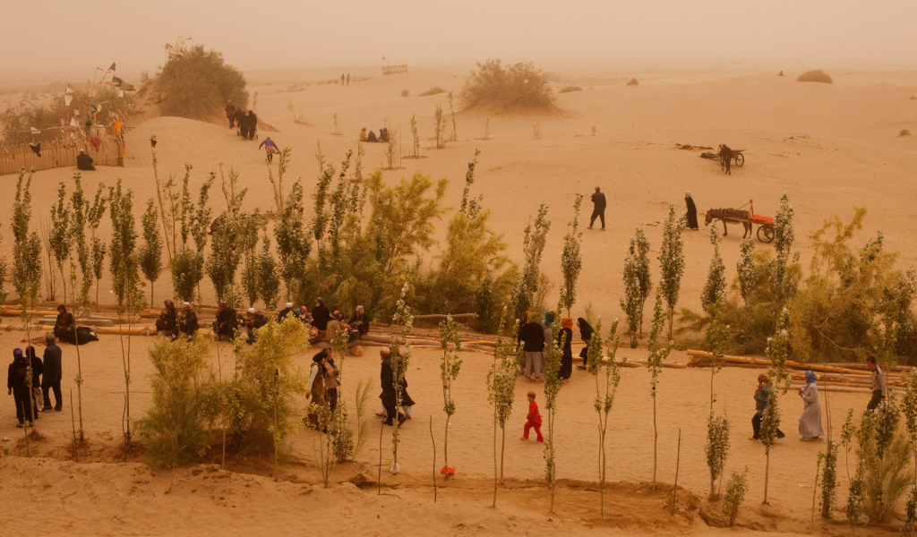 Жизнь в пустыне