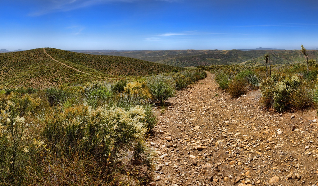 Каменистая дорога в пустыне