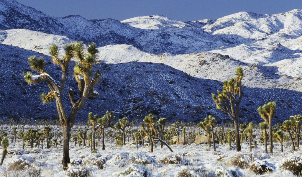 	   Snow-covered desert