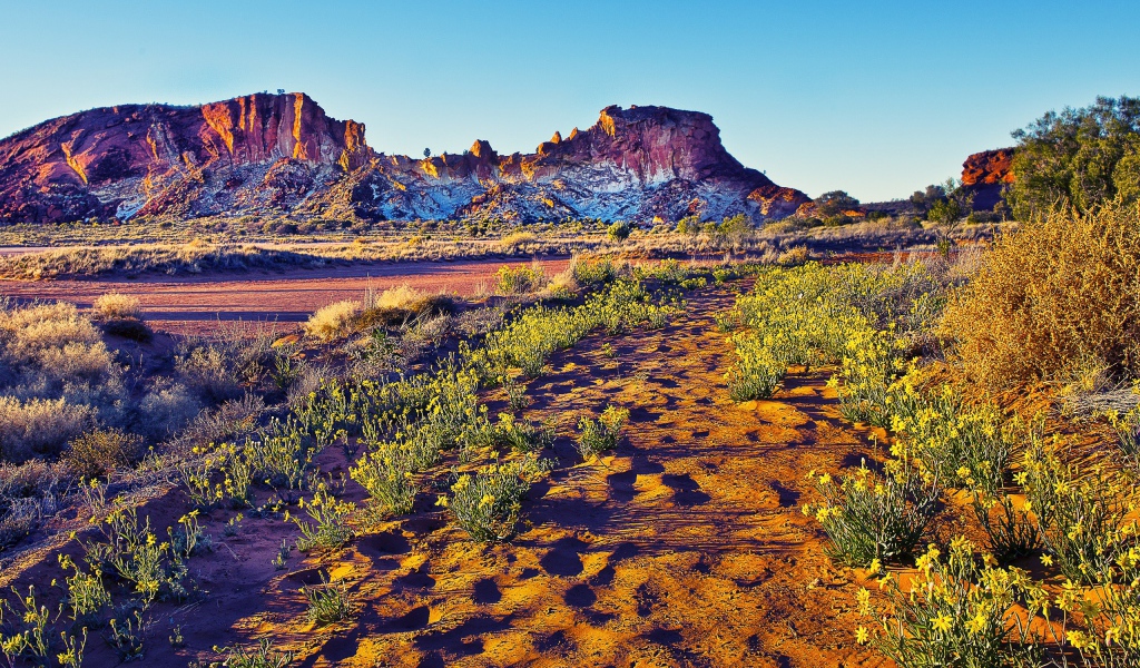 Закат в пустыне