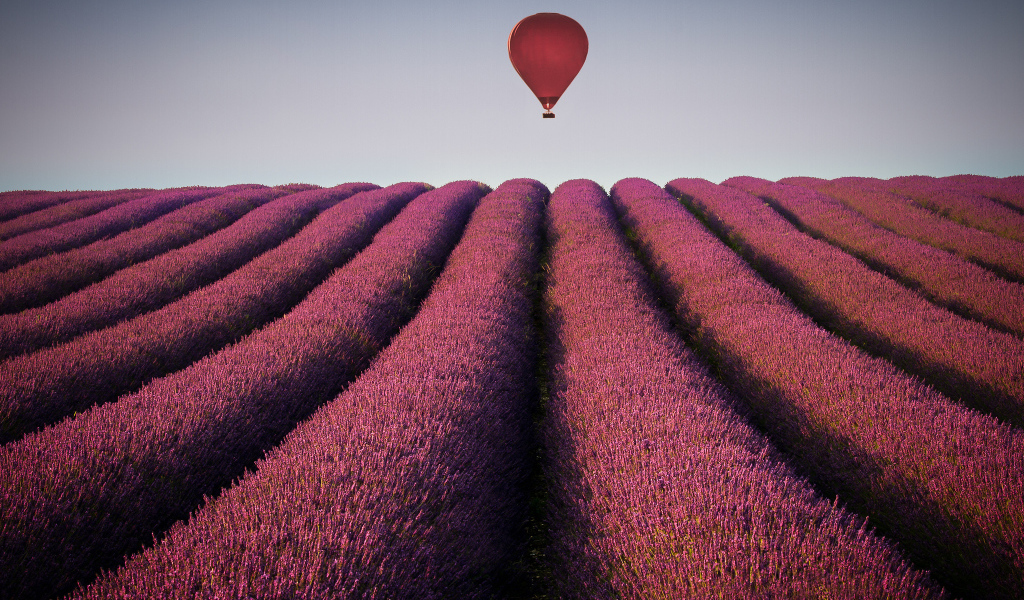 Воздушный шар над полем лаванды