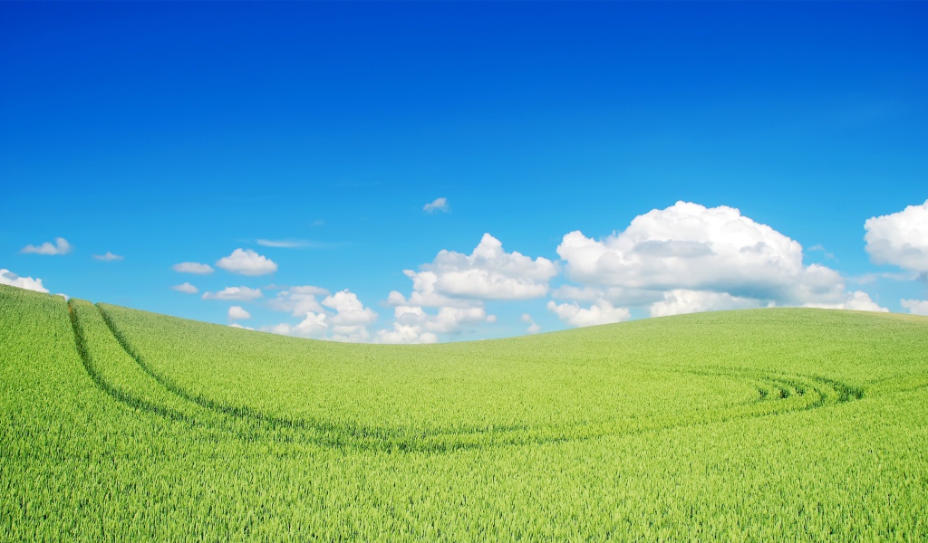 Прекрасный зеленый пейзаж