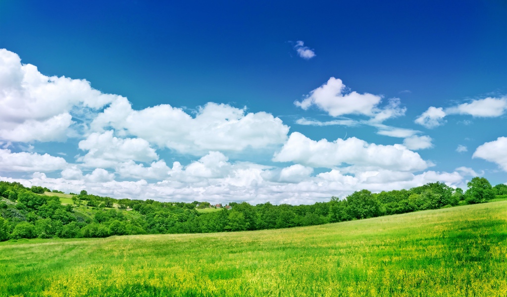 Прекрасная природа