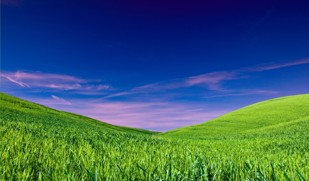 Чистое небо над полем