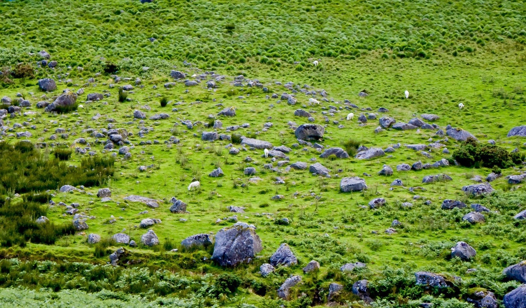 Английская природа