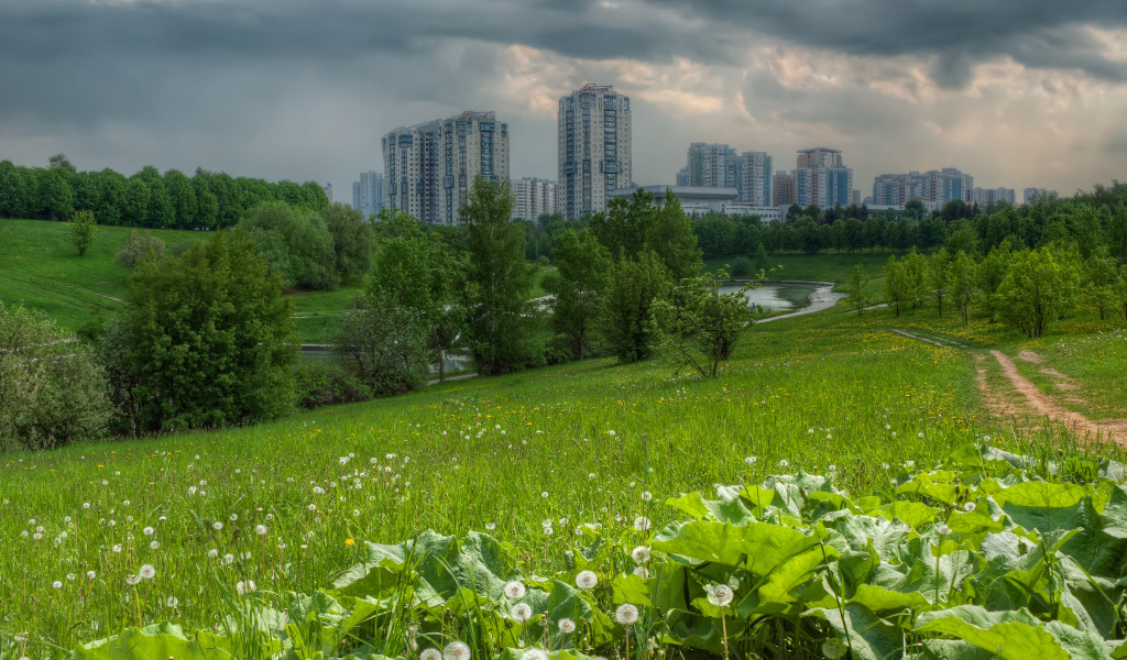 Поле на окраине города