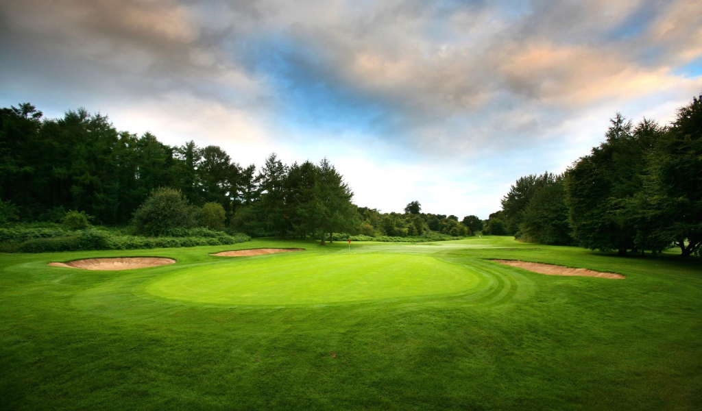 Поле для гольфа