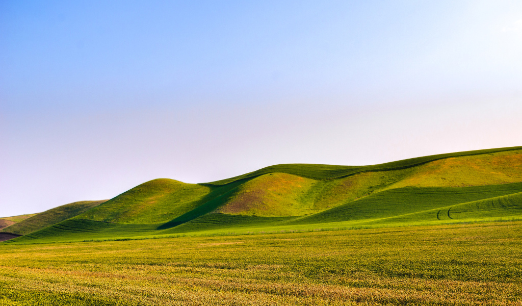 Зелёные волнистые поля