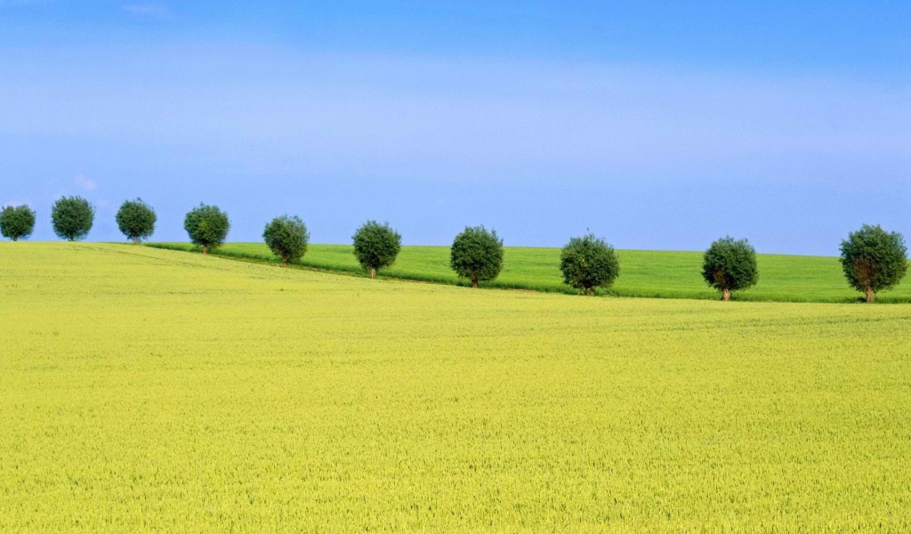 Природа Швеции