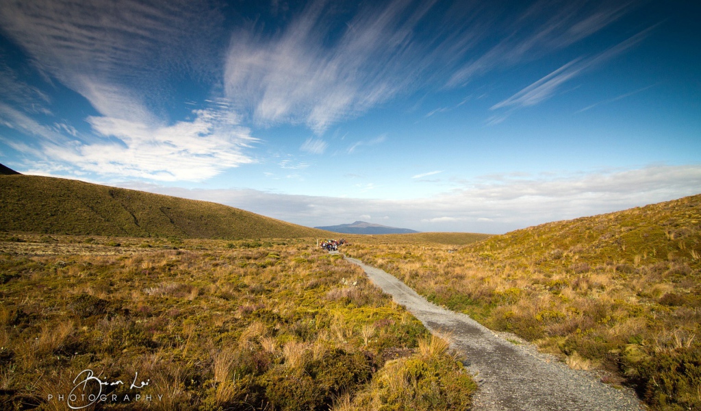 Пейзаж в Новой Зеландии