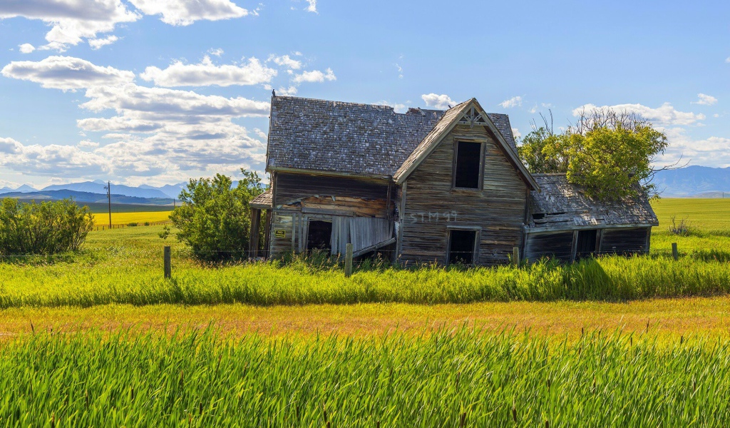 Старый дом в поле