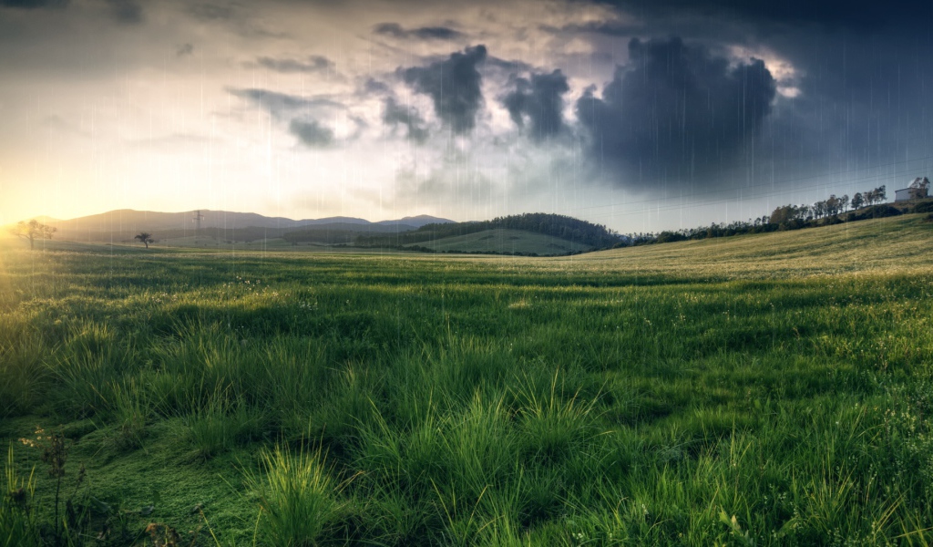 Весенний пейзаж