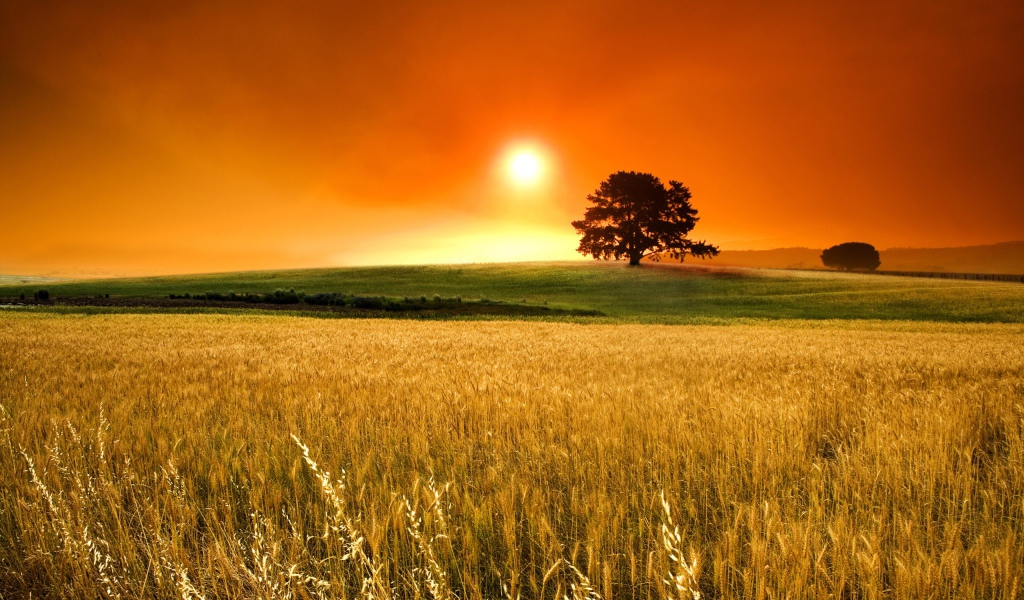 Солнечный день