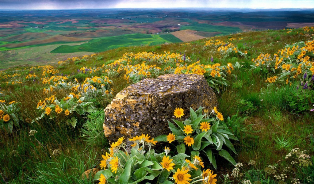Пейзаж штата Вашингтон