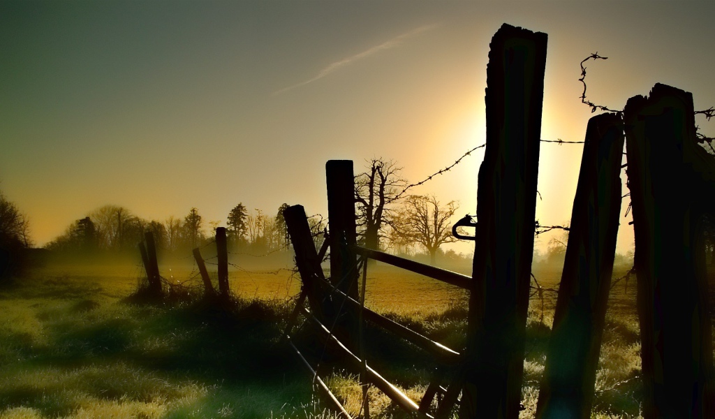 Старая ограда из колючей проволоки