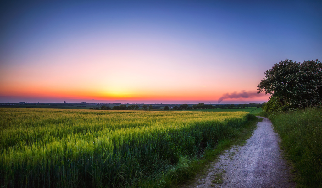 Дорога по краю поля