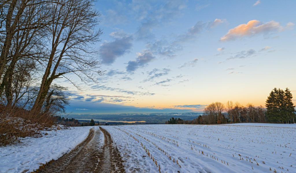 Дорога в зимнем поле