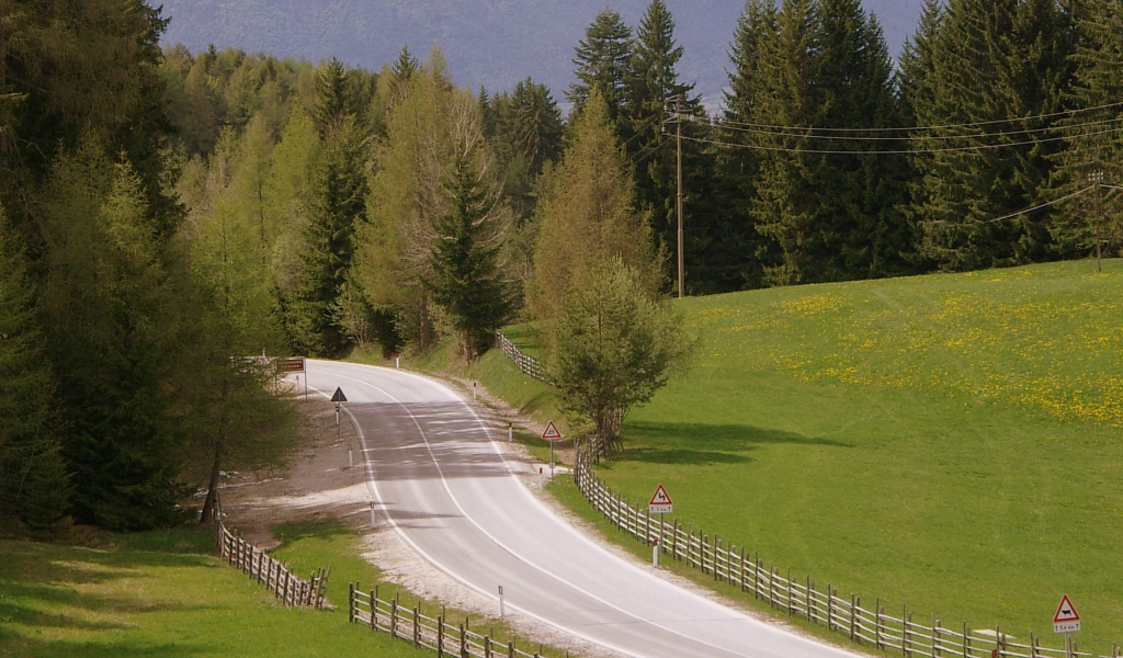 Забор вдоль дорги