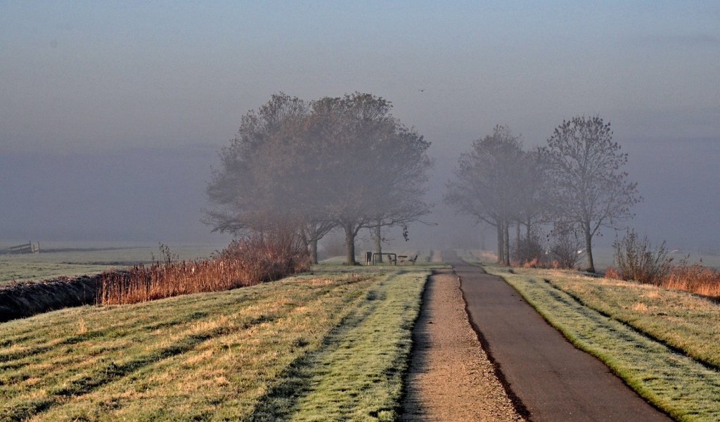Дорога ведущая в туман