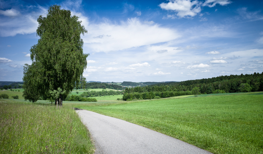 Дорога через поле