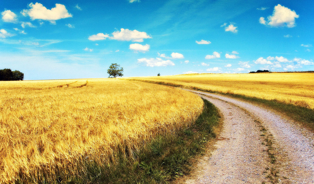 Дорога через поле