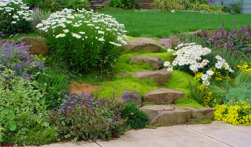 На дачном участке альпийская горка