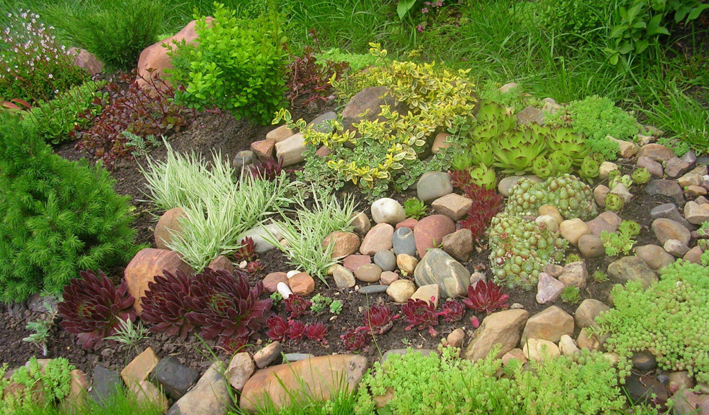 На дачном участке красивая альпийская горка