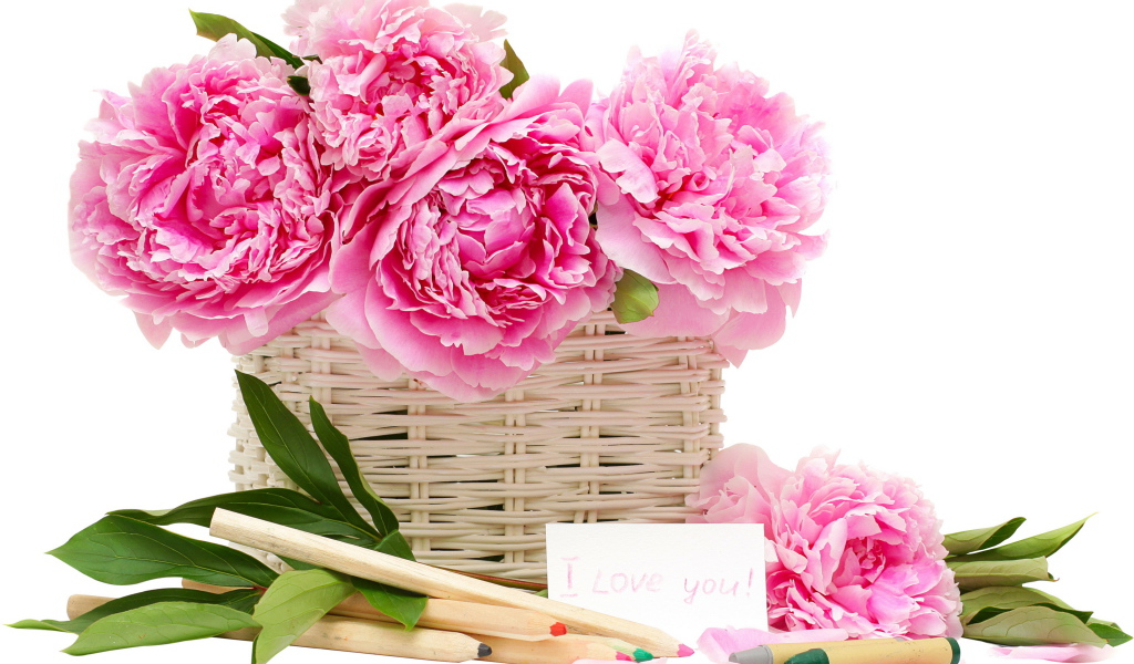 Красивый рисунок цветы пионы