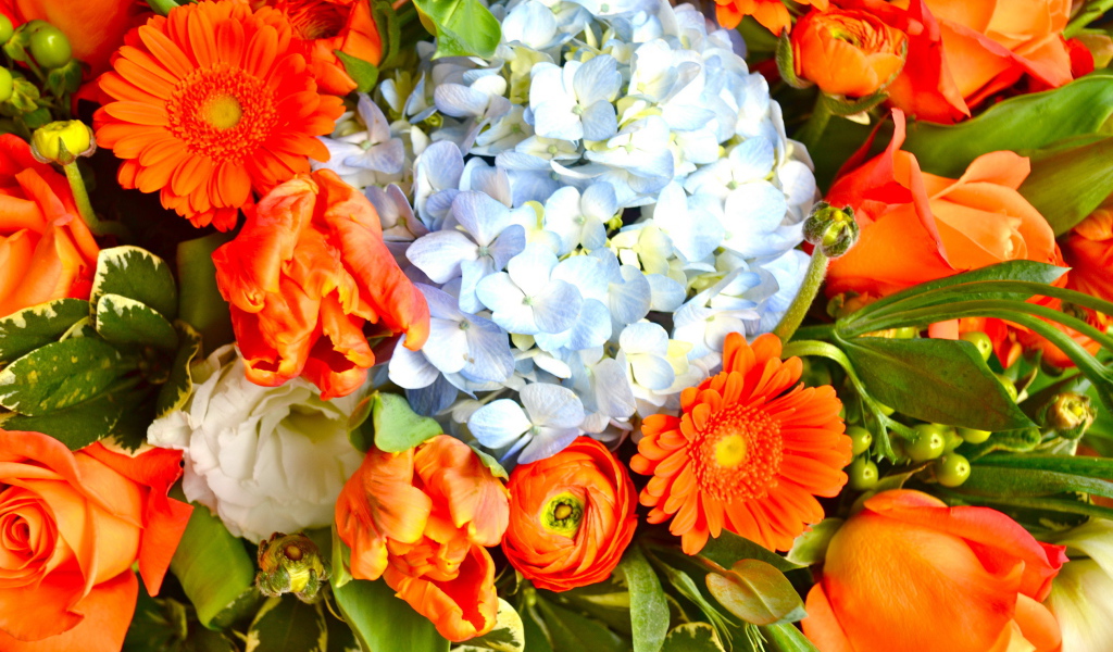 Красивые цветы гербера в парке