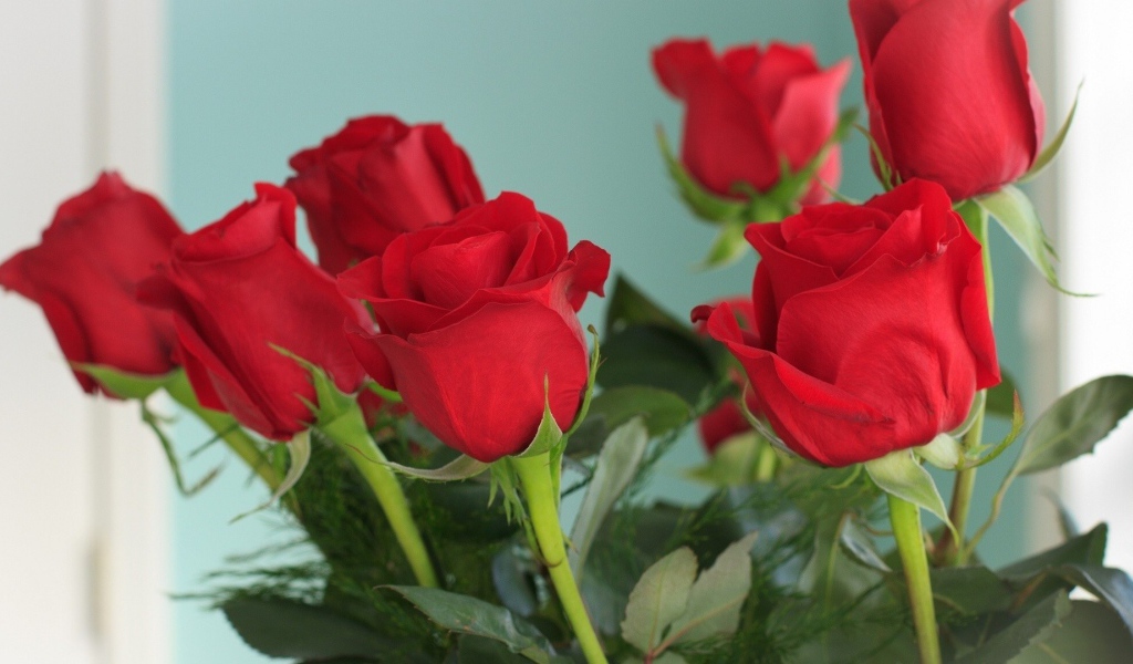 Красивые красные розы на голубом фоне
