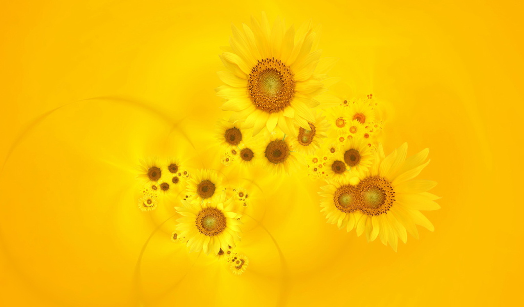 Красивый желтый фон с подсолнухом