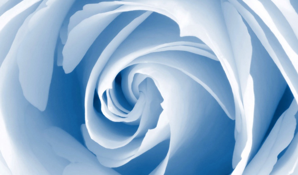 Голубой цветок