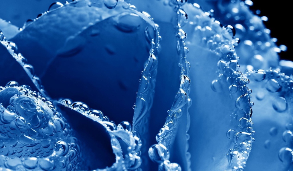 Синяя роза в пузырьках воздуха