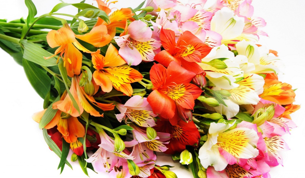Букет декоративных цветов