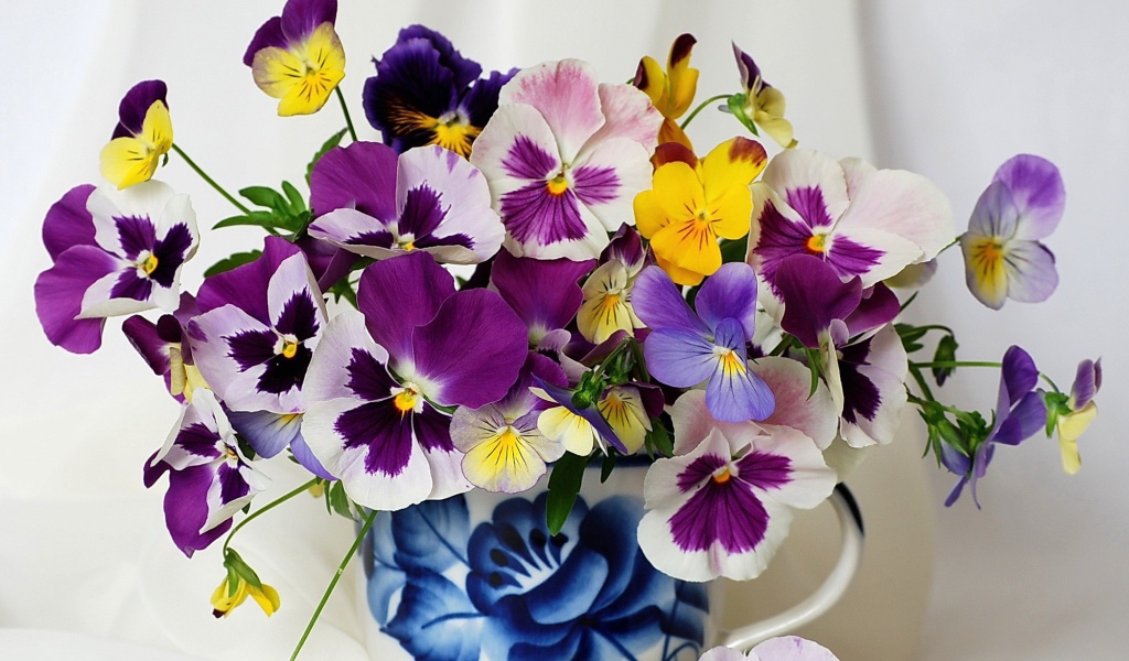 Bouquet of flowers viola (violet, pansy)
