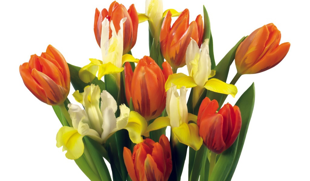 Букет тюльпанов и других цветов