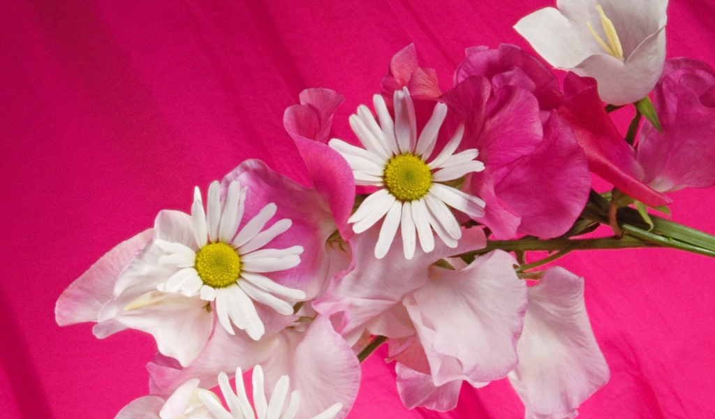 Букет на розовом фоне