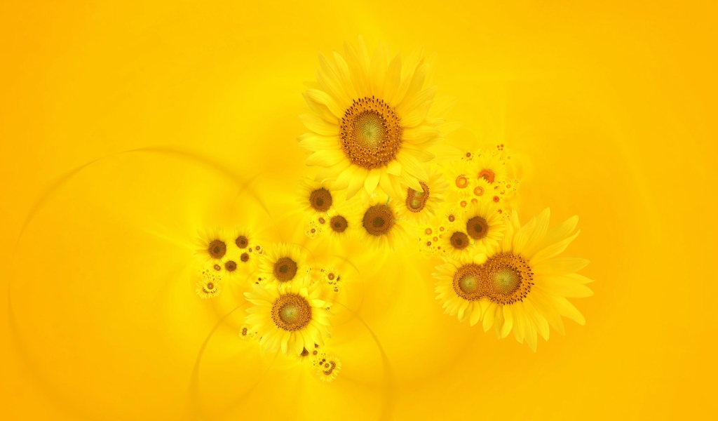 Сияющие желтые тюльпаны