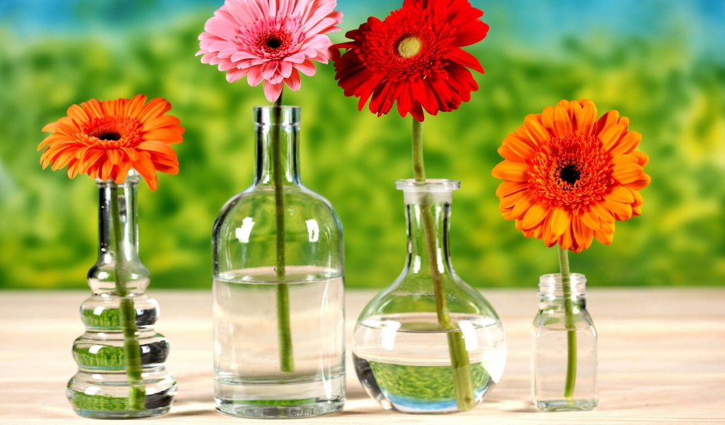 Хризантемы в бутылках